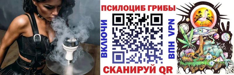 blacksprut ССЫЛКА  Нязепетровск  Псилоцибиновые грибы мицелий 